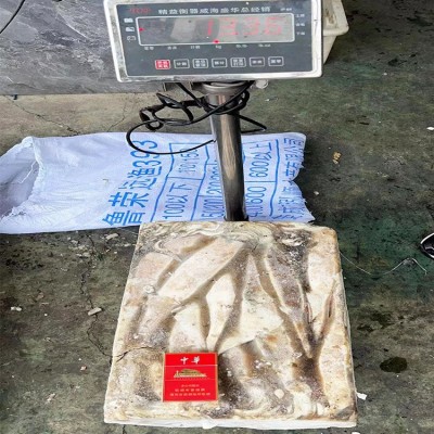 冷冻鱿鱼 原条鱿鱼 定装25斤 带头鲜鱿鱼 阿根廷鱿鱼铁板烧烤鲜鱿图2