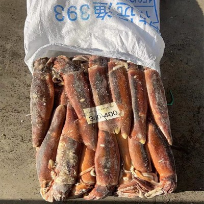 冷冻鱿鱼 原条鱿鱼 定装25斤 带头鲜鱿鱼 阿根廷鱿鱼铁板烧烤鲜鱿图5