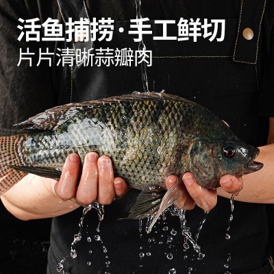 批发罗非鱼鱼排鲷鱼排鱼柳鱼片半成品早餐无骨无刺预制菜加热即食图4