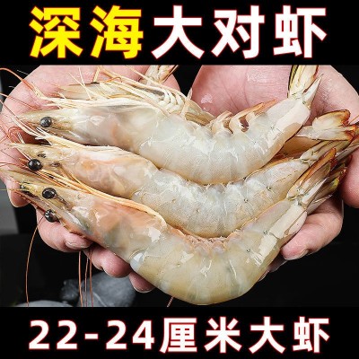 批发深海活冻海捕大明虾南海捕捞对虾海白虾黄虾全规格电商用生鲜