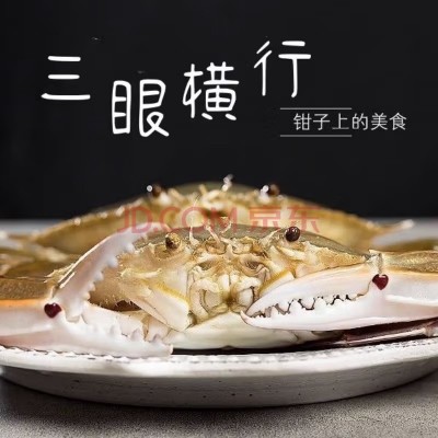 批发冷冻三眼蟹三点蟹螃蟹三目蟹梭子蟹兰花蟹海鲜水产生鲜大蟹类图2