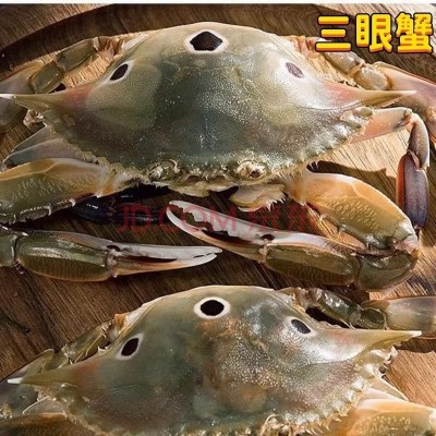批发冷冻三眼蟹三点蟹螃蟹三目蟹梭子蟹兰花蟹海鲜水产生鲜大蟹类图3
