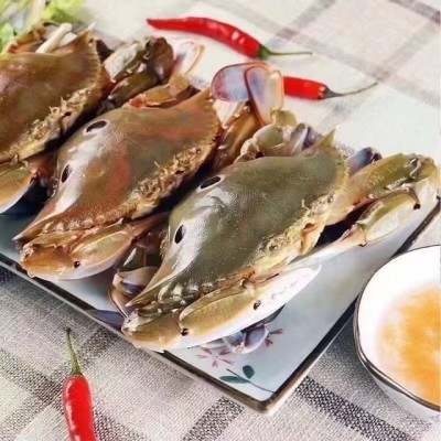 开背冷冻清江鱼 批发 烤鱼 冷冻清江鱼商用 酒店 食材整箱成品图5