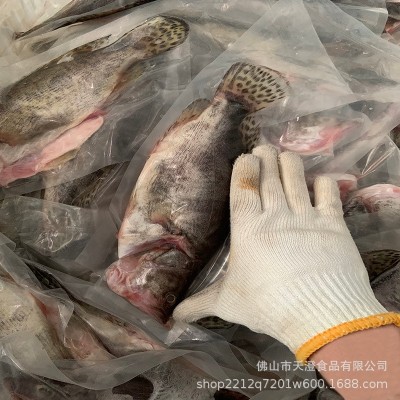 正宗鲜活腌制安徽臭鳜鱼厂家直供鲜活冷冻鳜鱼净膛腌制桂花鱼图2