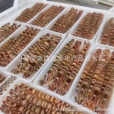 特大深海斑节虾冰鲜活冻竹节虾九节虾