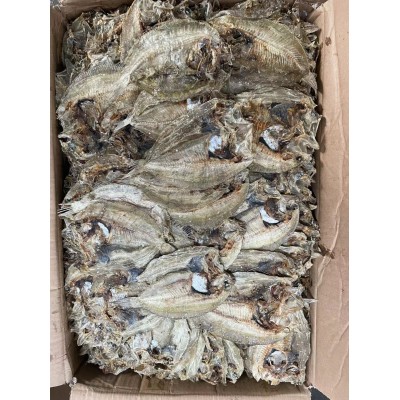 正宗大地鱼干广东潮汕汕尾左口比目鱼干铁脯鱼干货渔家自晒30斤装图2