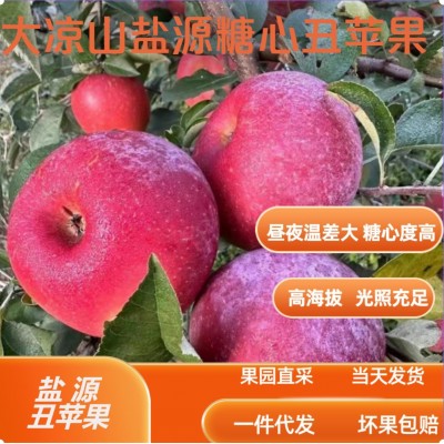 【丑苹果】盐源苹果大凉山糖心高山应季露天新鲜红富士甜脆不打蜡图5
