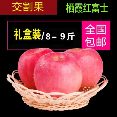 80#以上14-16个/箱烟台苹果套袋精品自家基地霜降后晚采，一级苹图4