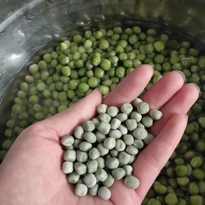 跑江湖地摊展销会干青豌豆货源10元模式 干豌豆 青豌豆 绿豌豆图3