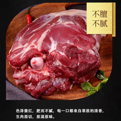 草原羊肉 内蒙古羊肉 杭锦旗锦鹏养殖肉质鲜美不膻不腻现货批发图3