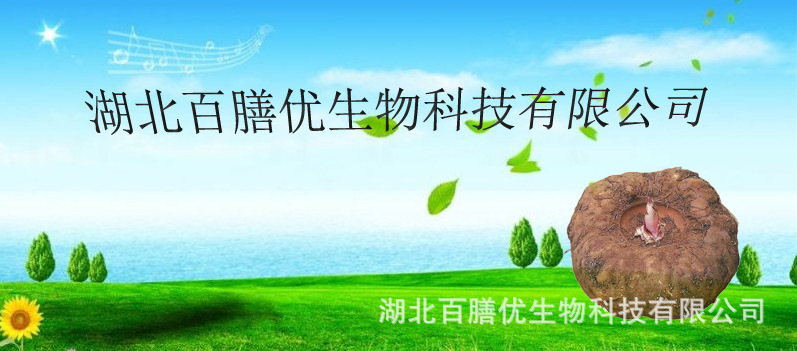 caodibeijing-35892666_3.jpg