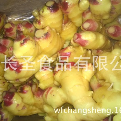 多规格可出口生姜大姜 现货销售鲜姜 山东厂家现货供应黄姜生姜图4