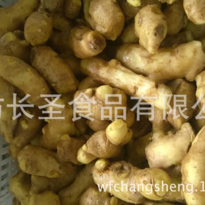 多规格可出口生姜大姜 现货销售鲜姜 山东厂家现货供应黄姜生姜图5