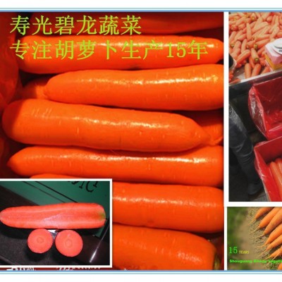 山东寿光蔬菜加工供应出口新鲜胡萝卜白萝卜大白菜甘蓝西芹图2