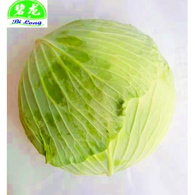 常年大量供应产地新鲜大白菜白萝卜胡萝卜西芹西蓝花图5