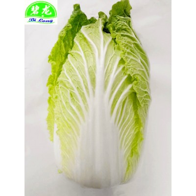供应新季节产地品质优良价格优惠山东保鲜大白菜图5