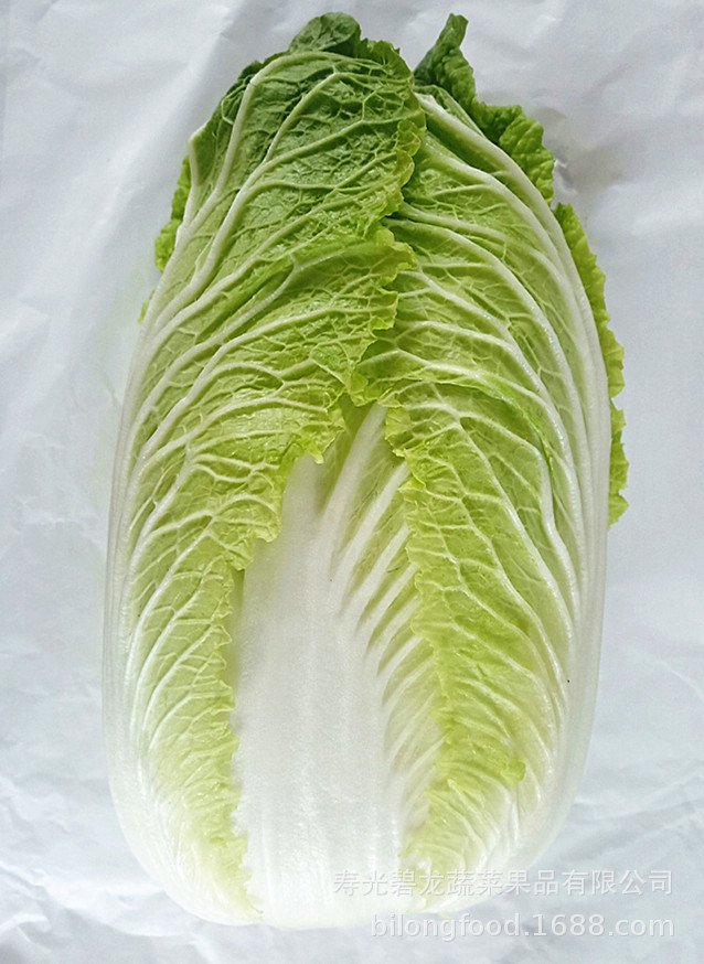 白菜-1