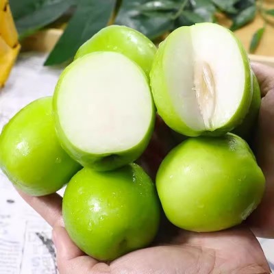 【牛奶大青枣】云南牛奶青枣特级非大荔冬枣苹果枣新鲜水果批发图4