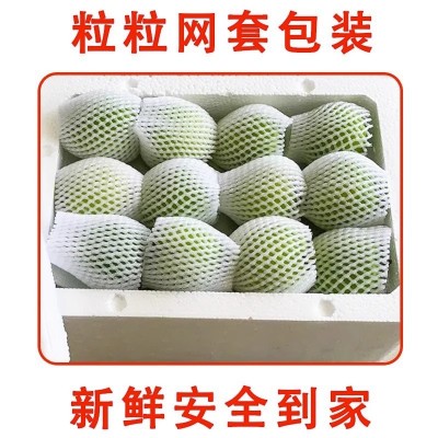 【牛奶大青枣】云南牛奶青枣特级非大荔冬枣苹果枣新鲜水果批发图3