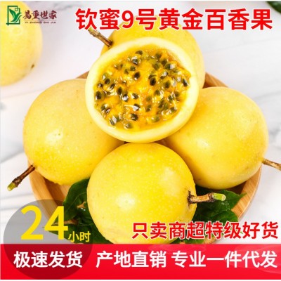 一件代发钦密9号黄金百香果新鲜水果5斤装大果热带水果当季百香果