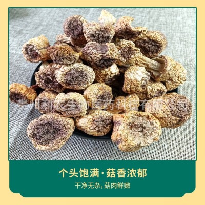 厂家直供批发一件代发贵州特产姬松茸厂家直供专属菌类干货80克图2