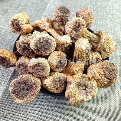 厂家直供批发一件代发贵州特产姬松茸厂家直供专属菌类干货80克图4