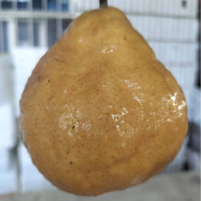 山东莱阳中华丑梨软糯香甜5斤大头啤梨皮薄多汁太婆梨支持代发图3