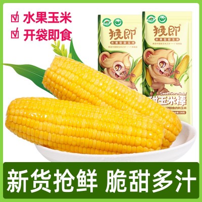 广西水果玉米棒鲜嫩甜玉米230gX8袋基地厂家直批即食真空粗粮代餐图5