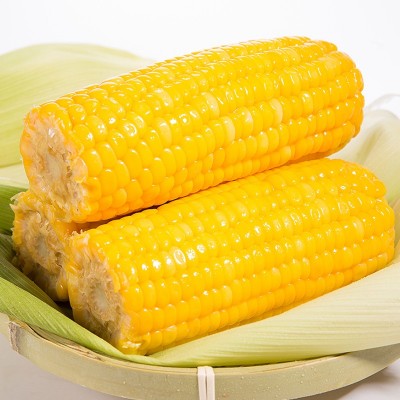 广西水果玉米棒鲜嫩甜玉米230gX6根即食真空基地现摘粗粮营养代餐图2