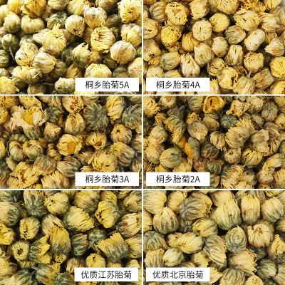 新货桐乡胎菊花茶散装杭白菊花果茶批发菊花 胎菊散装厂家直销图2