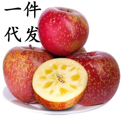 丑苹果大凉山冰糖心水果当季新鲜整箱批发10斤四川盐源正宗红富士