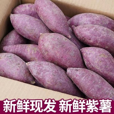紫薯新鲜农家自种沙地红薯10斤紫罗兰蜜薯糖心甜山芋番薯一件代发