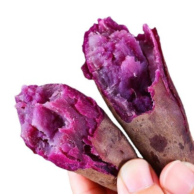 紫薯新鲜农家自种沙地红薯10斤紫罗兰蜜薯糖心甜山芋番薯一件代发图4
