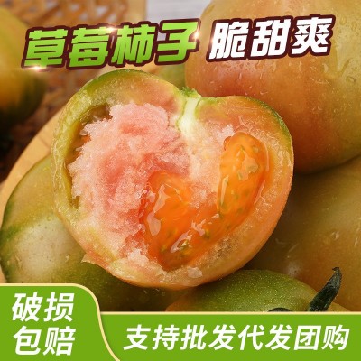 海阳草莓柿子现摘现发铁皮绿腚柿子生吃戴安娜西红柿农家新鲜番茄图2