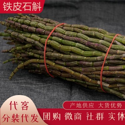 云南新鲜石斛 铁皮石斛榨汁 生鲜石斛条批发产地货源代发 大货供销
