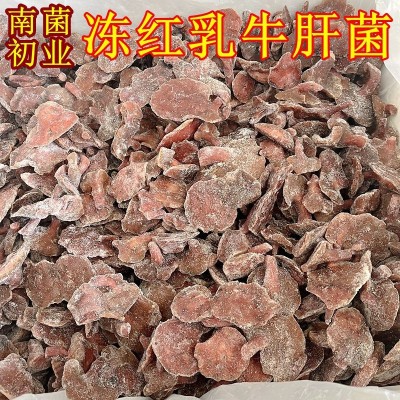 冰鲜冻野生红乳牛肝菌云南山珍土特产菌菇松乳菇松菌食材一斤批发