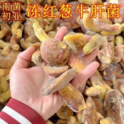 冰鲜冻野生红葱牛肝菌 云南山珍土特产菌菇火锅香菇食材一斤批发
