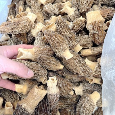 冰鲜冻羊肚菌 云南山珍土特产菌菇火锅香菇食材一斤批发野生蘑菇图4
