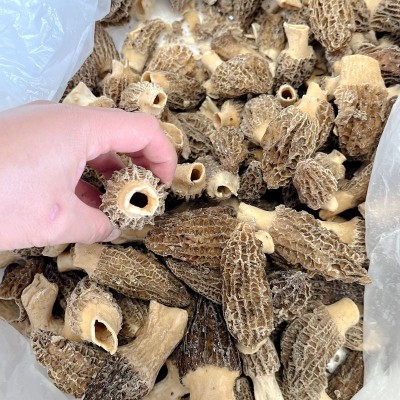 冰鲜冻羊肚菌 云南山珍土特产菌菇火锅香菇食材一斤批发野生蘑菇图3