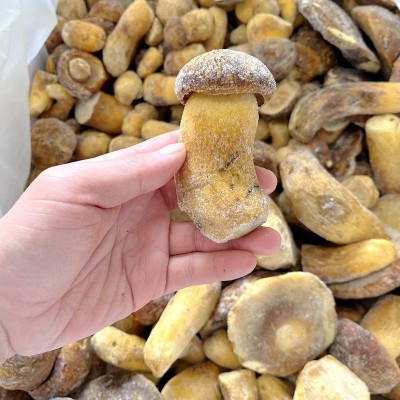 冰鲜冻野生黄牛肝菌黄赖头 云南山珍土特产菌菇火锅香菇食材一斤图2