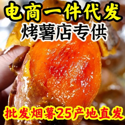 山东烟薯25号蜜薯糖心红薯新鲜番薯代发烤红薯地瓜专用批发烟薯25图2