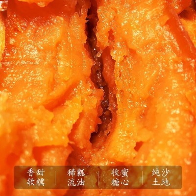 山东烟薯25号蜜薯一件代发新鲜红薯沙地糖心番薯烤地瓜批发烟薯25图3
