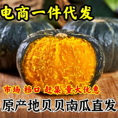 山东正宗贝贝南瓜电商一件代发 板栗新鲜日本瓜批发礼盒装供应链