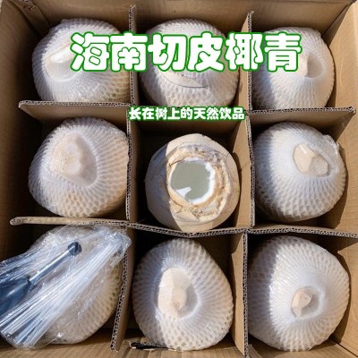 海南新鲜椰子椰青批发可一件代发9个开盖椰肉椰球4个开椰器产地果图3