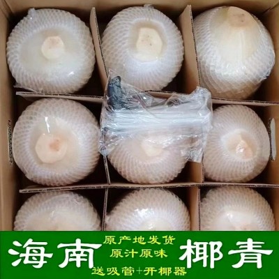 海南新鲜椰子椰青批发可一件代发9个开盖椰肉椰球4个开椰器产地果图1