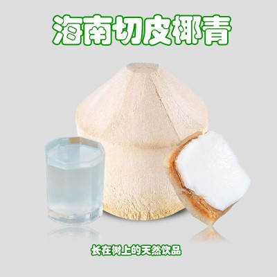 海南新鲜椰子椰青批发可一件代发9个开盖椰肉椰球4个开椰器产地果图2