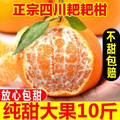 四川特级春见耙耙柑粑粑柑10斤橘子甜当季整箱新鲜水果丑柑桔包邮图1