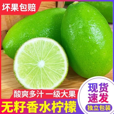 海南无籽香水青柠檬子弹头青柠新鲜水果9斤包邮奶茶店专用批发代图1