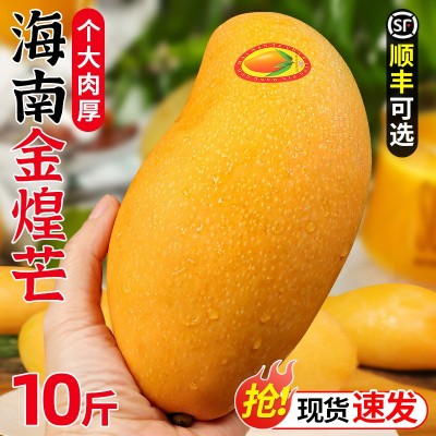 海南金煌芒水仙芒果10斤新鲜热带水果应当季现摘青甜心芒整箱包邮图3