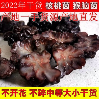 产地直发精选不开花不碎中等货1斤猴脑核桃菌黑球疙瘩海参菌玛卡